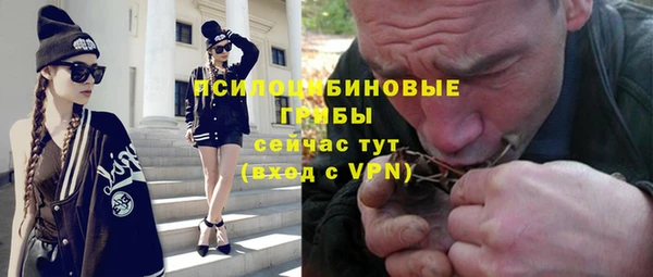 стаф Богородицк