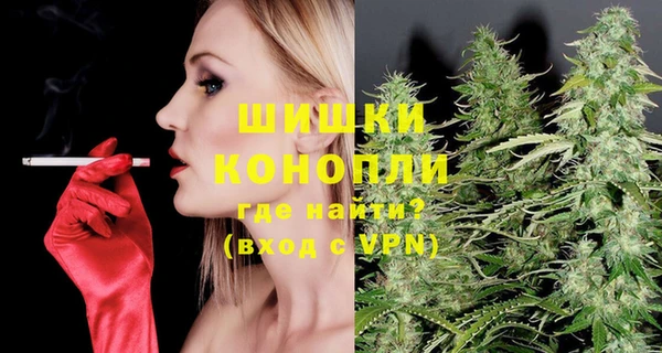 стаф Богородицк