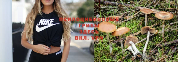 ALPHA PVP Богородск