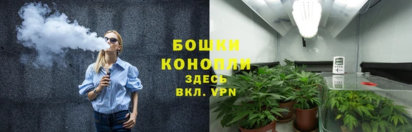 стаф Богородицк